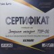 XENUM IN&OUT CLEANER DIESEL 1,5л. 3192015